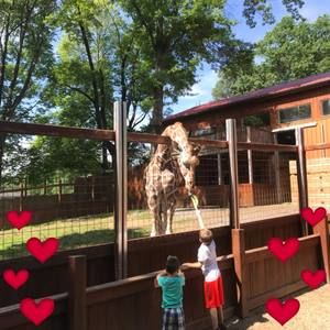 Meet your Posher, Lindsey